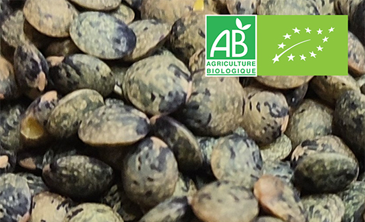 Lentilles-Vertes-BIO