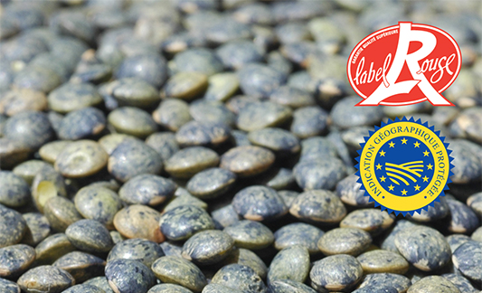 Lentilles-Vertes-du-Berry