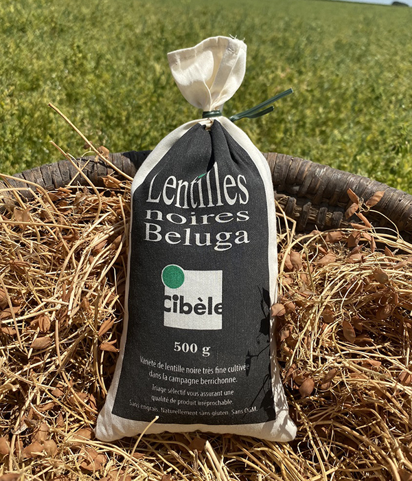 Beluga
