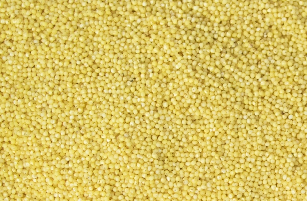 Millet Décortiqué