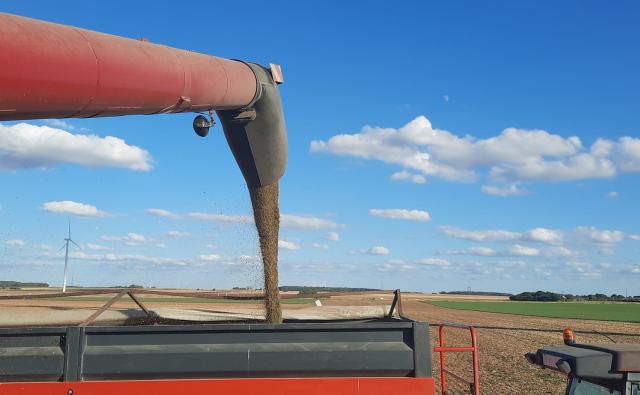 Millésime 2023 Lentilles Vertes du Berry