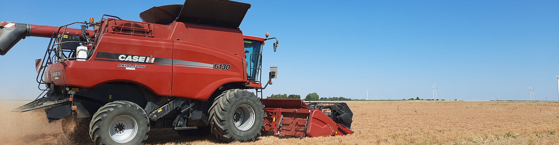 Expert petite graine