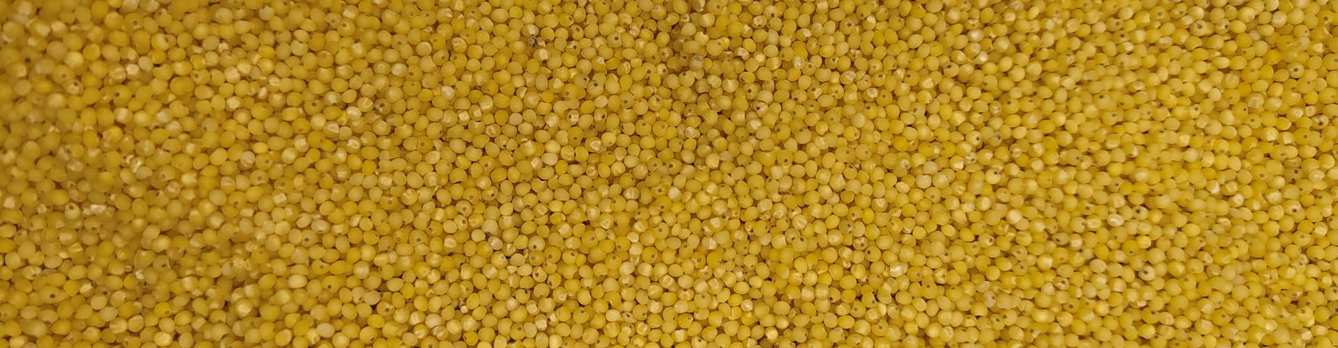 Slide- Millet Décortiqué