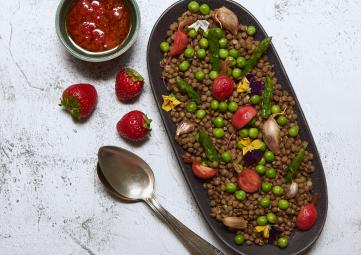 Salade de Lentilles vertes du Berry printanière